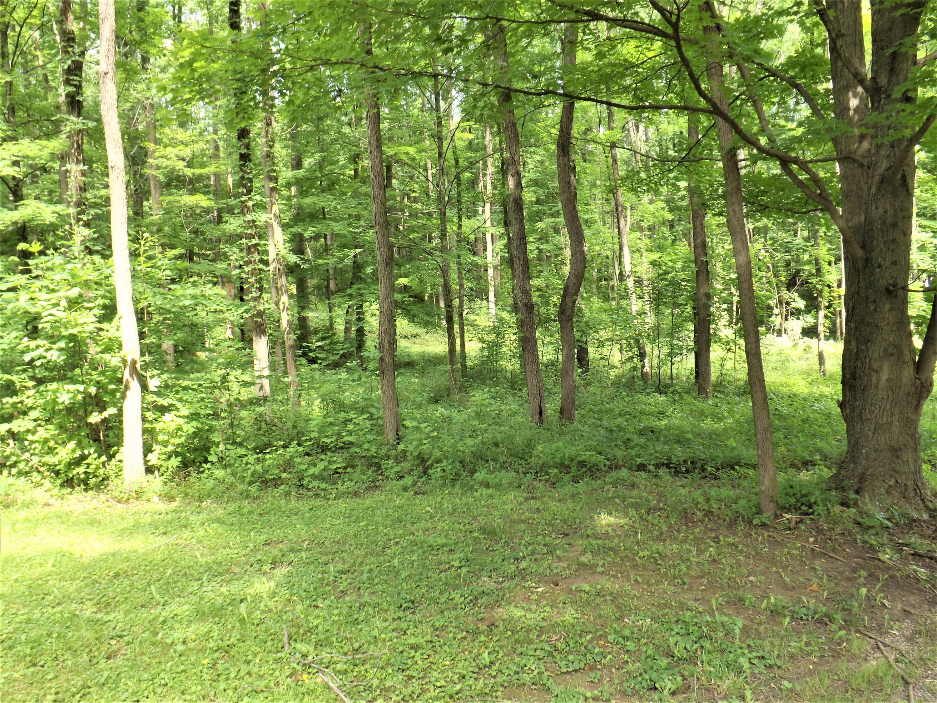 15639 McKenzie Road Mount Vernon, OH 43050 - Photo 24 of 41