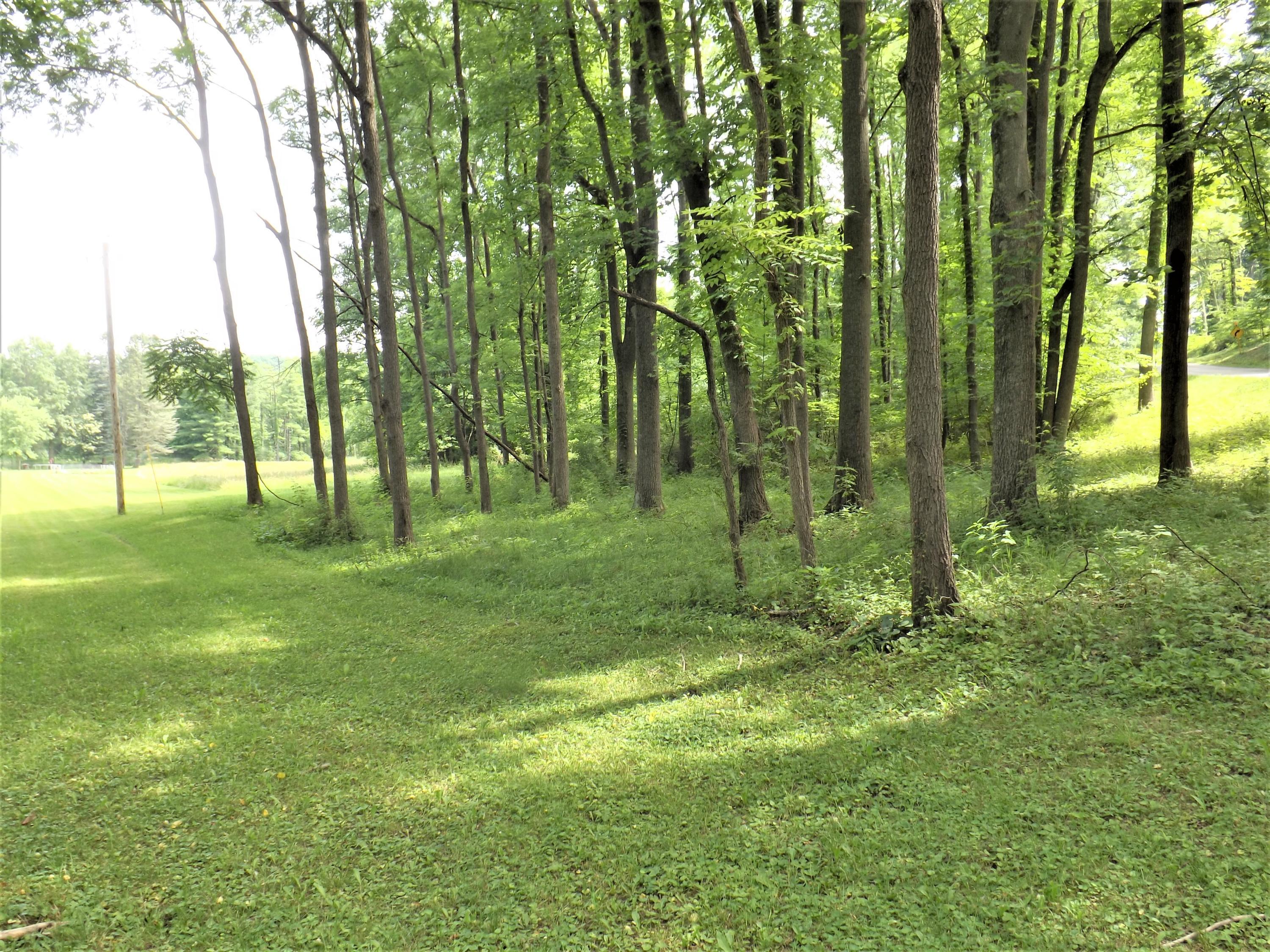 15639 McKenzie Road Mount Vernon, OH 43050 - Photo 29 of 41