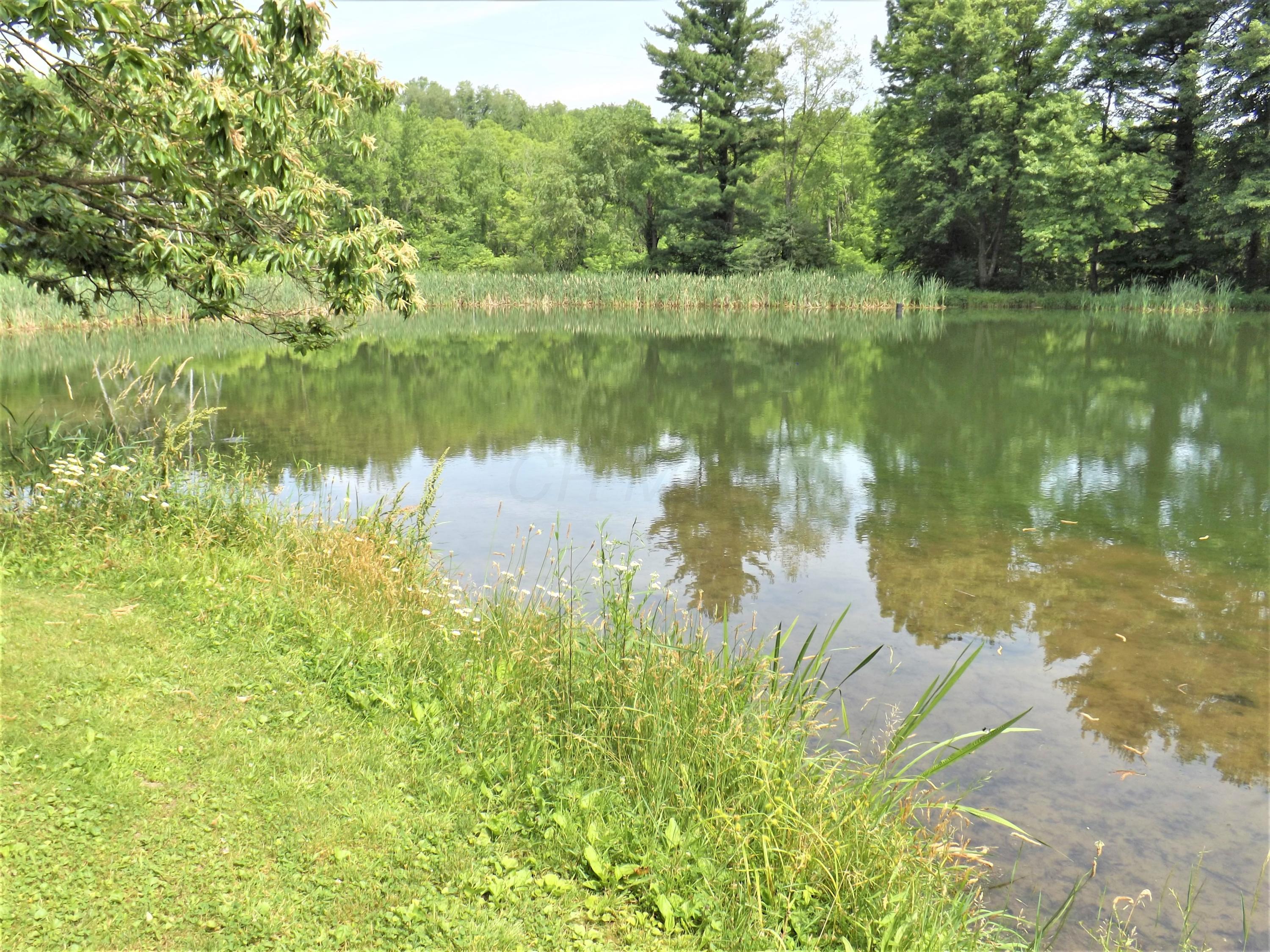 15639 McKenzie Road Mount Vernon, OH 43050 - Photo 36 of 41