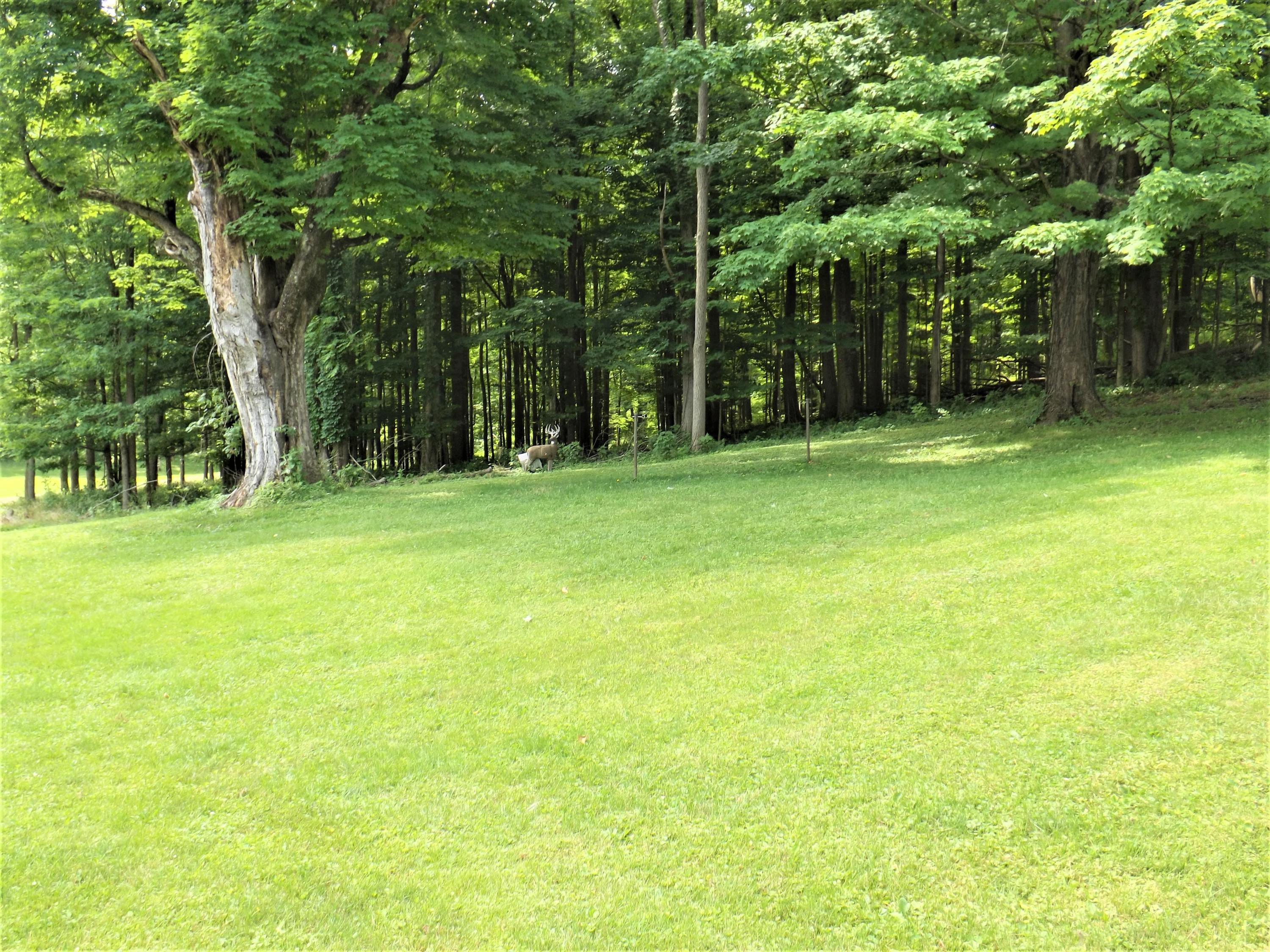 15639 McKenzie Road Mount Vernon, OH 43050 - Photo 37 of 41
