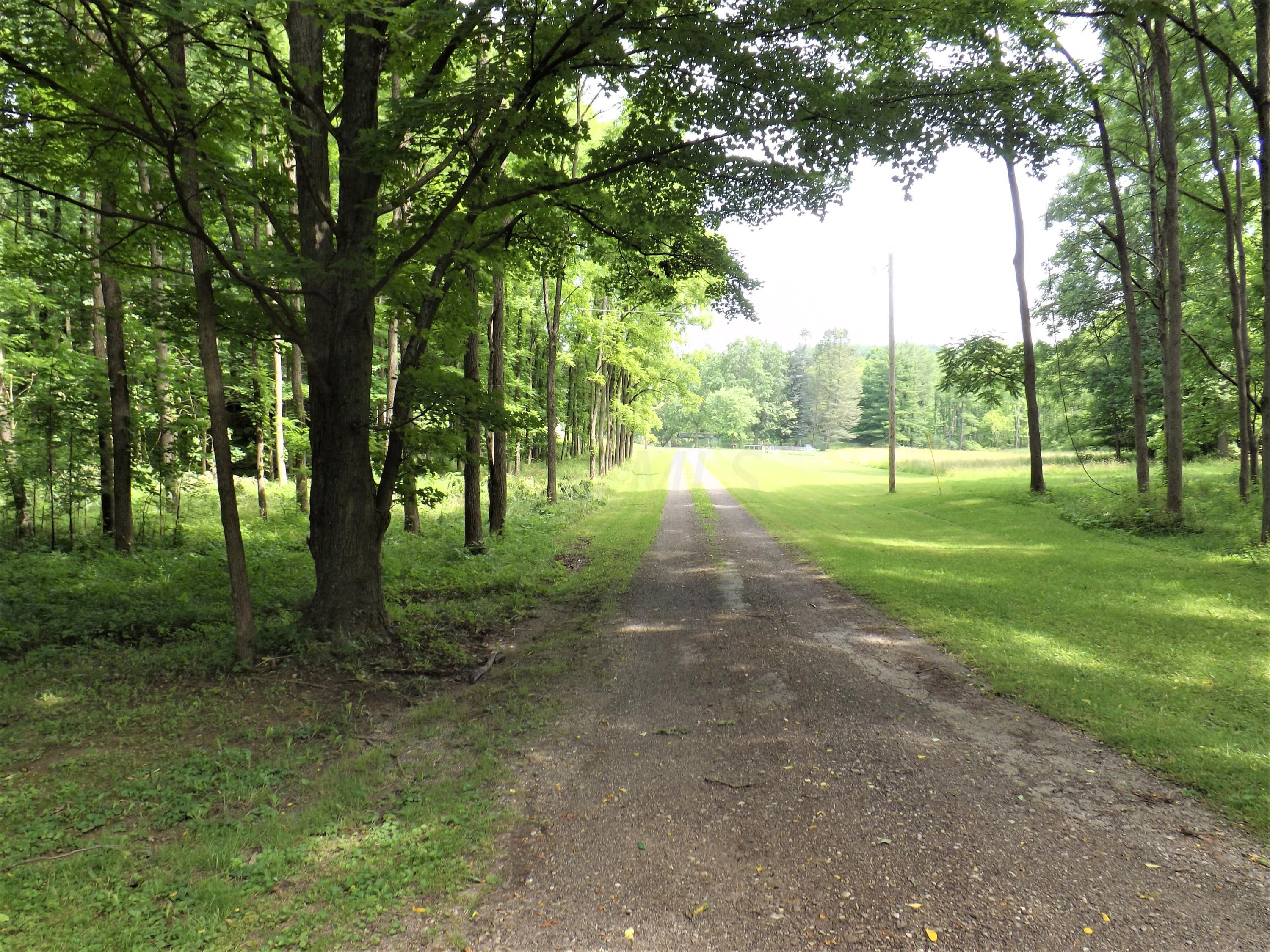 15639 McKenzie Road Mount Vernon, OH 43050 - Photo 4 of 41