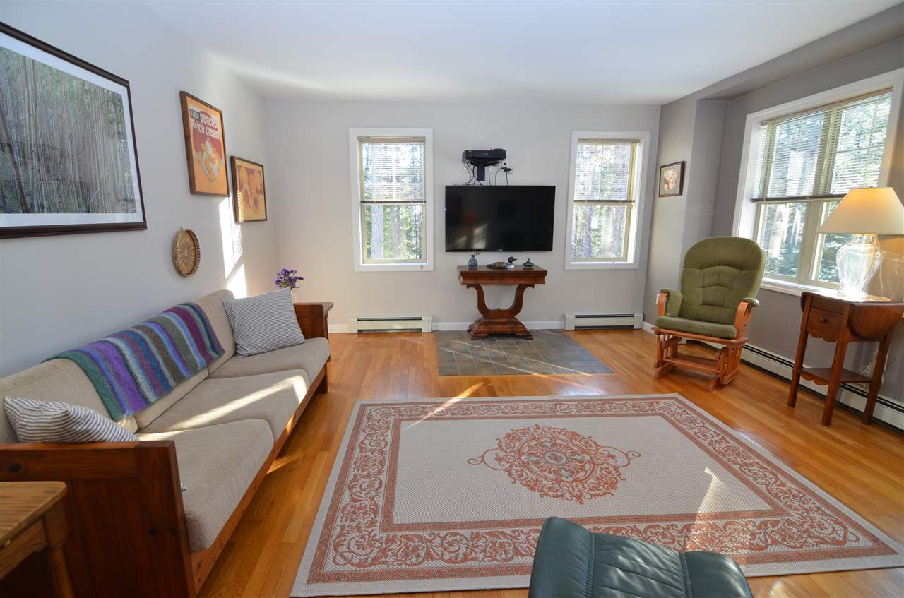 65 Whitetail Ridge Grantham, NH 03753 - Photo 11 of 32