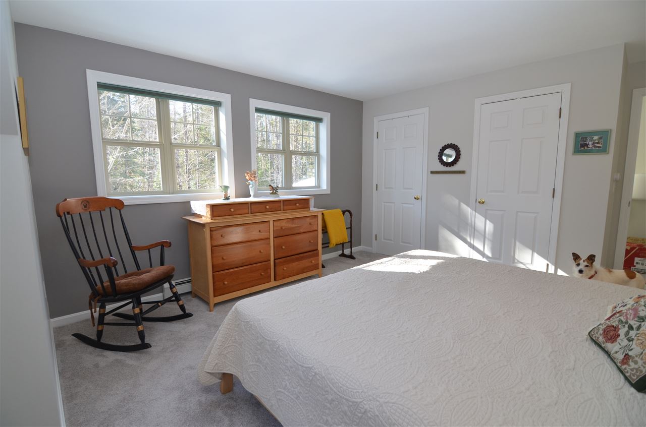 65 Whitetail Ridge Grantham, NH 03753 - Photo 31 of 32