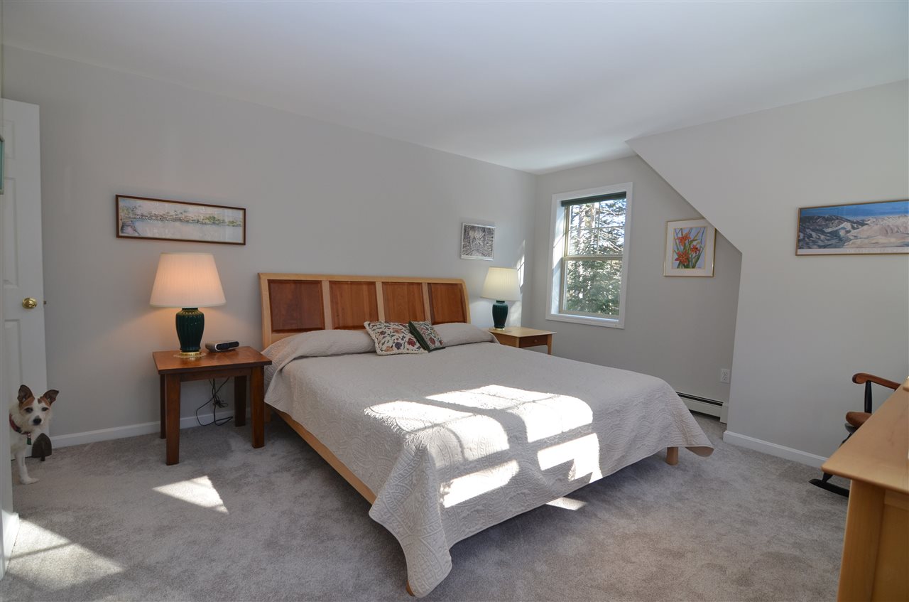 65 Whitetail Ridge Grantham, NH 03753 - Photo 32 of 32