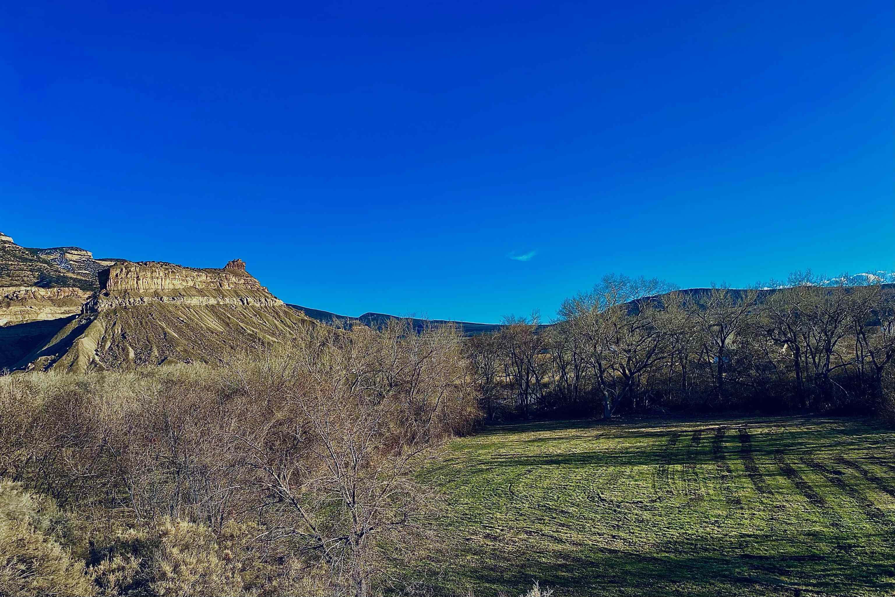 3877 North River Road Palisade, CO 81526 - Photo 29 of 40 Gallery Image 29