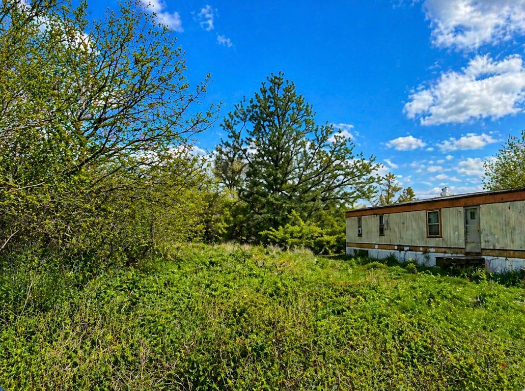 0 Blackshear Road Wharton, TX 77488 - Photo 3 of 7 a backyard of a house with lots of green space