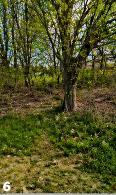 0 Blackshear Road Wharton, TX 77488 - Photo 6 of 7