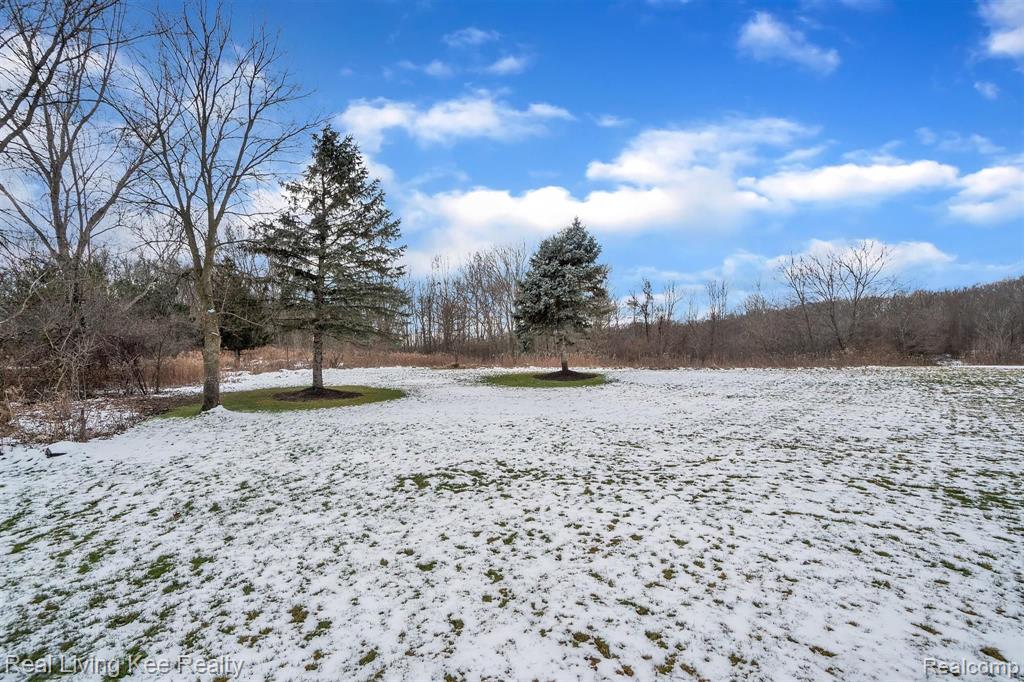 4061 Jacquelynn Court Rochester, MI 48306 - Photo 49 of 49