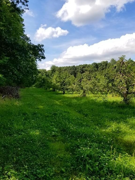 a view of a green field