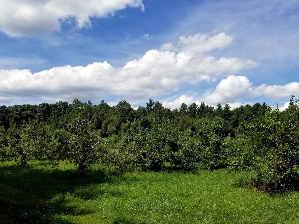168 Bolton Road Harvard, MA 01451 - Photo 3 of 12 a view of a green field