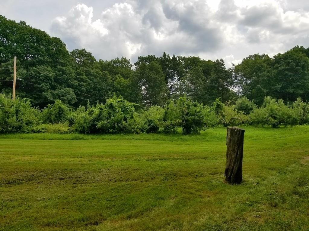 168 Bolton Road Harvard, MA 01451 - Photo 4 of 12 a view of a grassy field with trees
