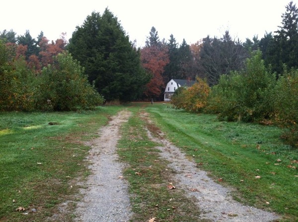 168 Bolton Road Harvard, MA 01451 - Photo 7 of 12 a view of a yard with trees in the background