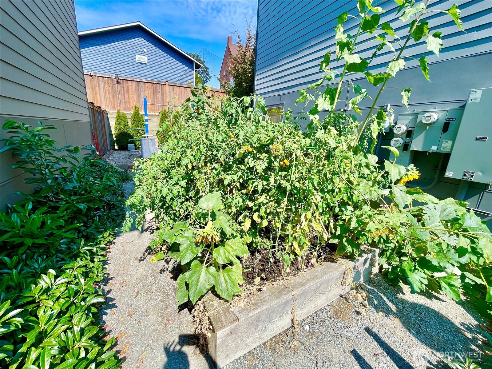 4910 South Willow Street, Unit B Seattle, WA 98118 - Photo 26 of 28 a view of a house with a flower garden