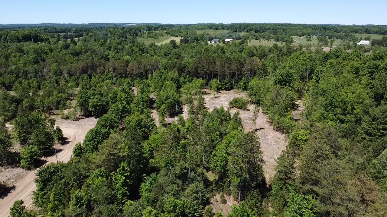 5.67-acres Norconk Road Bear Lake, MI 49614 - Photo 3 of 18 2026-06-22-15-02-17-733