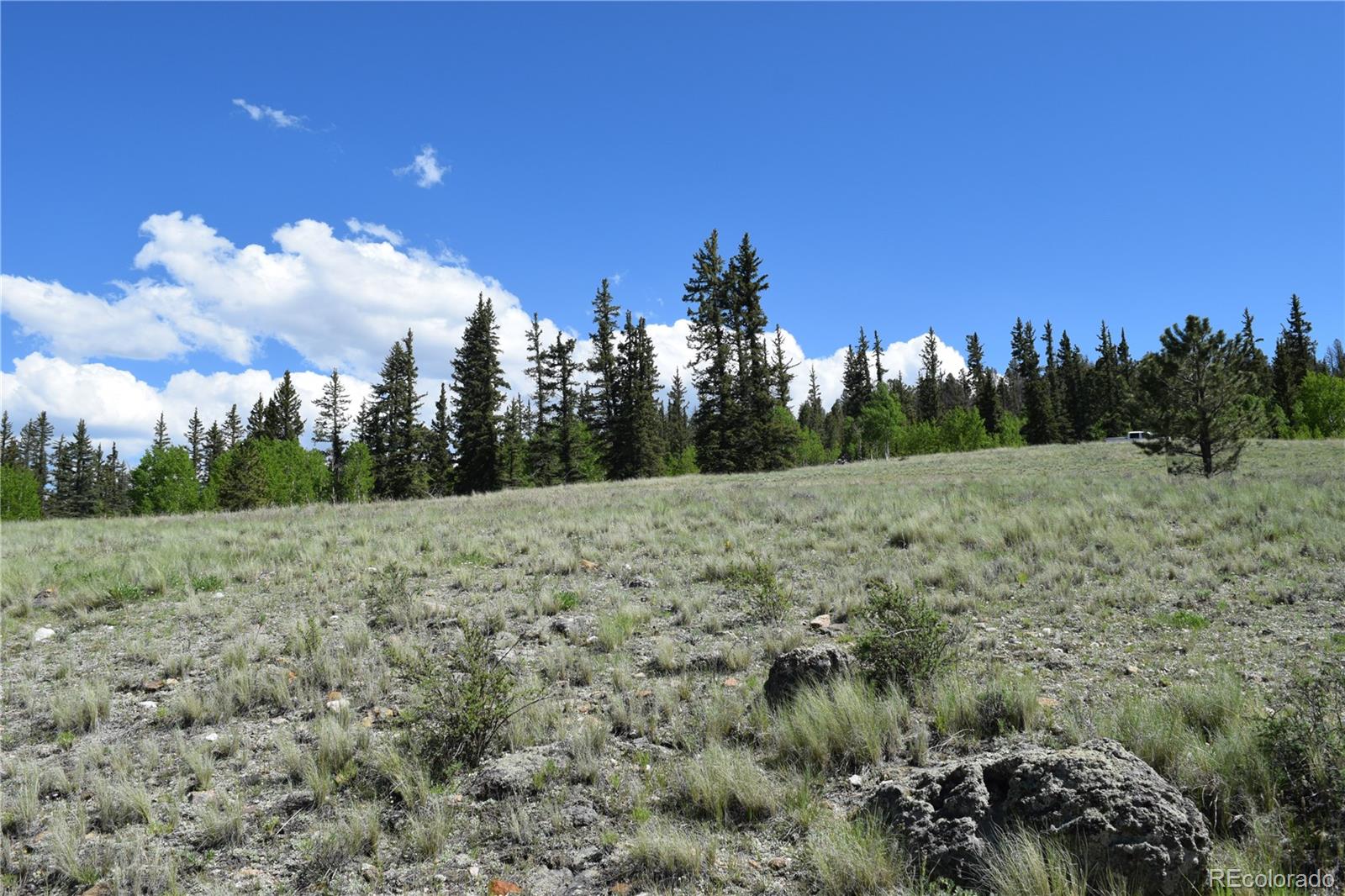 1053 McMurry Road Hartsel, CO 80449 - Photo 15 of 15 Gallery Image 15