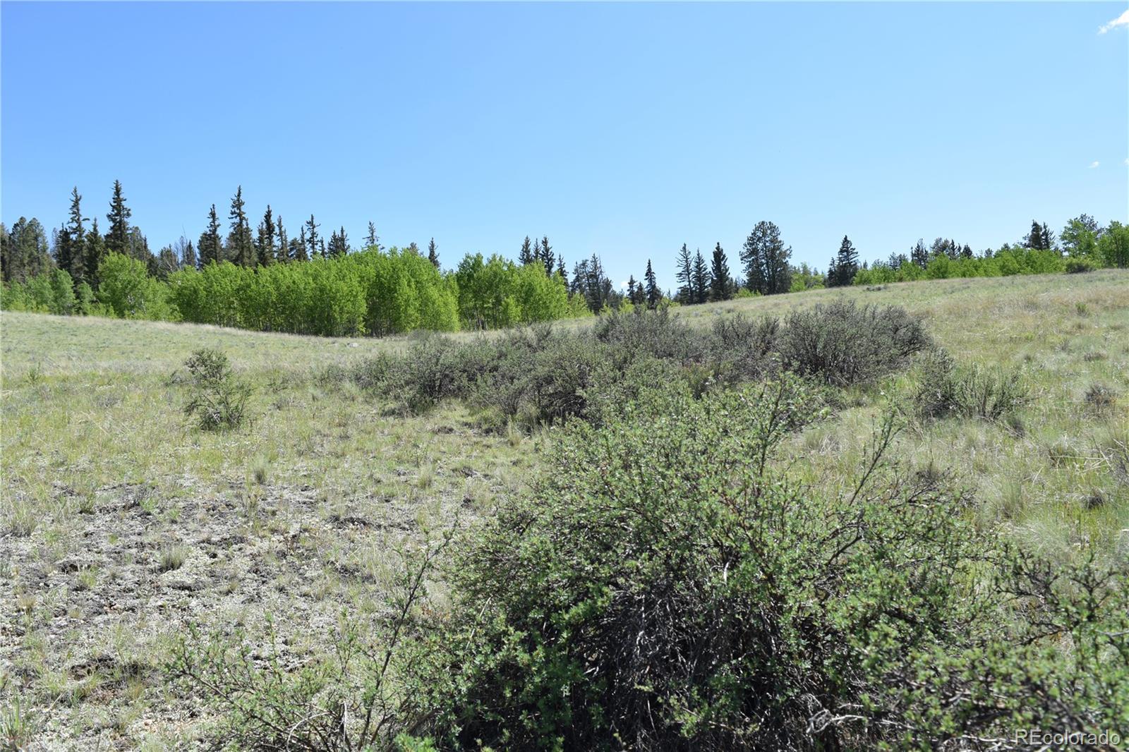1053 McMurry Road Hartsel, CO 80449 - Photo 8 of 15 Gallery Image 8