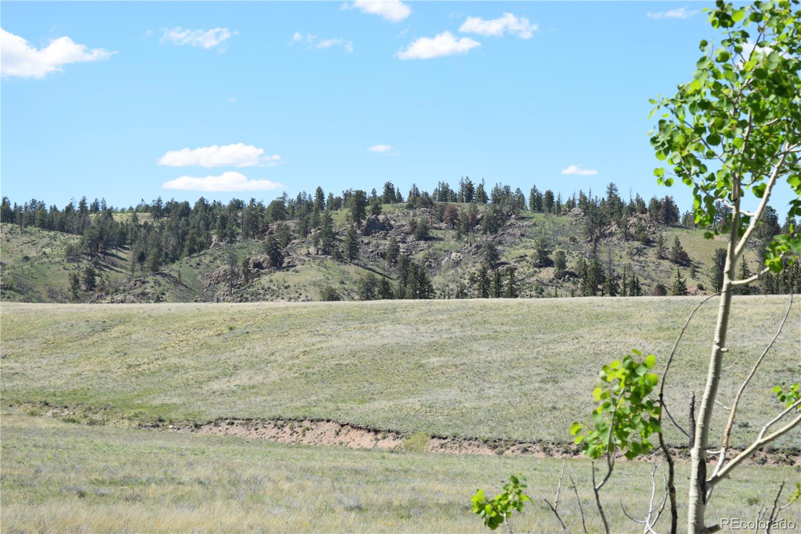 1053 McMurry Road Hartsel, CO 80449 - Photo 9 of 15 Gallery Image 9