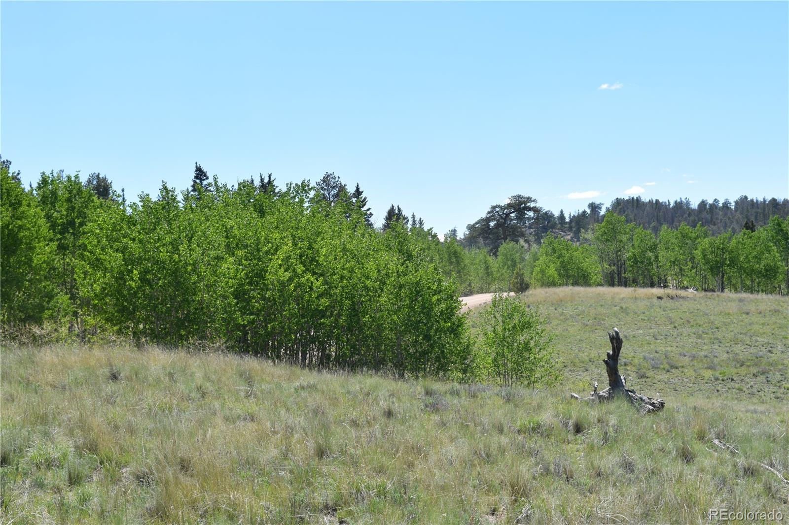 1053 McMurry Road Hartsel, CO 80449 - Photo 10 of 15 Gallery Image 10