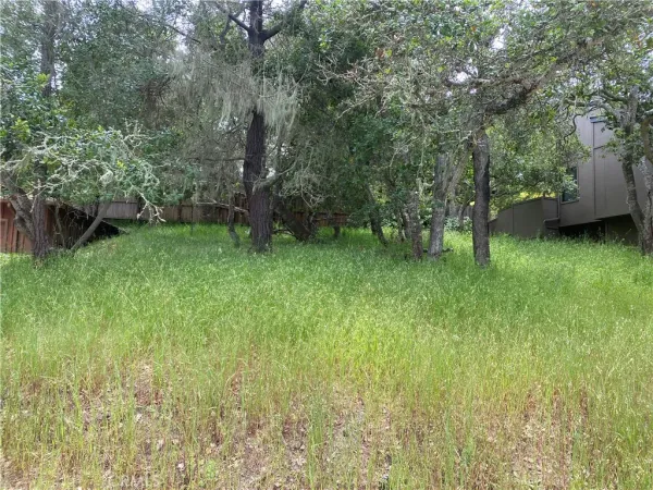 a view of a green field with lots of bushes