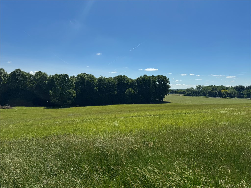 1403 Ridley Road Phelps, NY 14532 - Photo 11 of 16