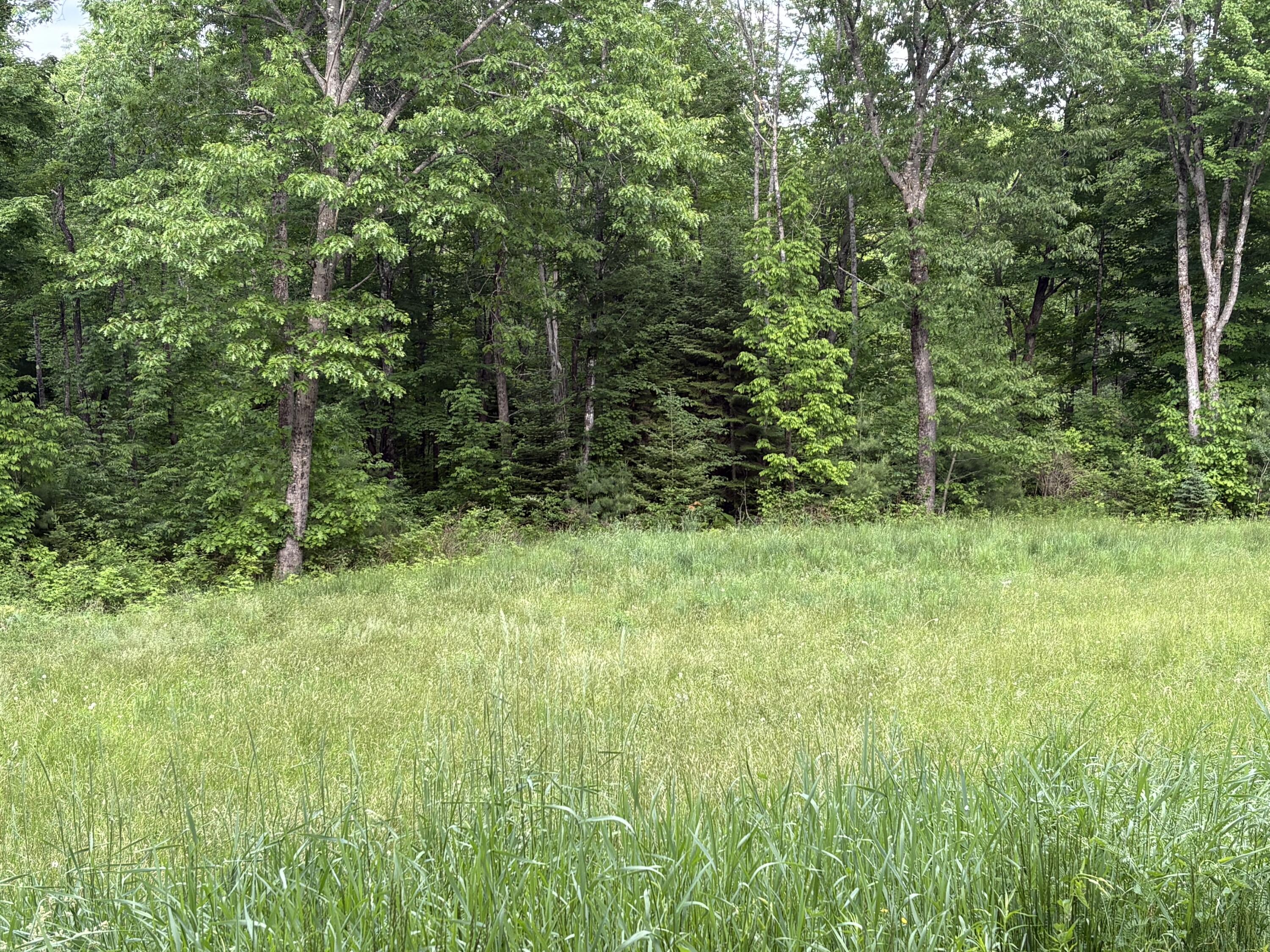 22 Back Parkman Road Abbot, ME 04406 - Photo 6 of 38