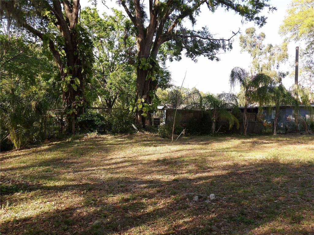 17506 Darby Lane Lutz, FL 33558 - Photo 11 of 15 a backyard of a house with lots of green space