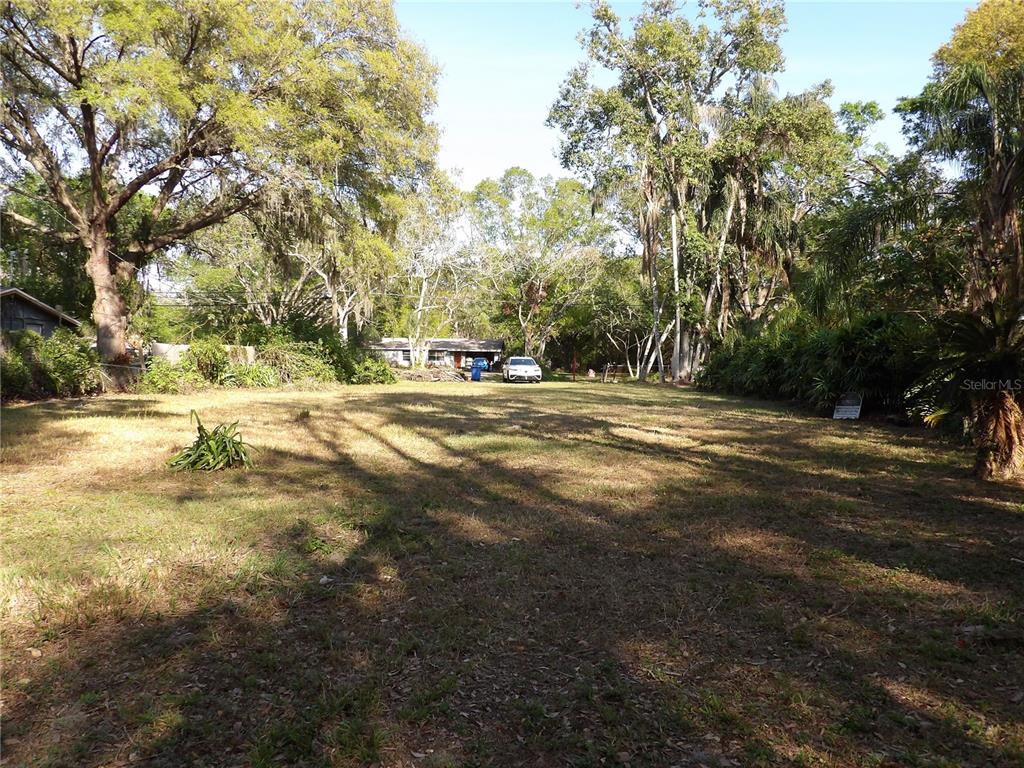 17506 Darby Lane Lutz, FL 33558 - Photo 13 of 15 a view of an outdoor space and yard