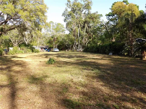 a view of a yard with a tree
