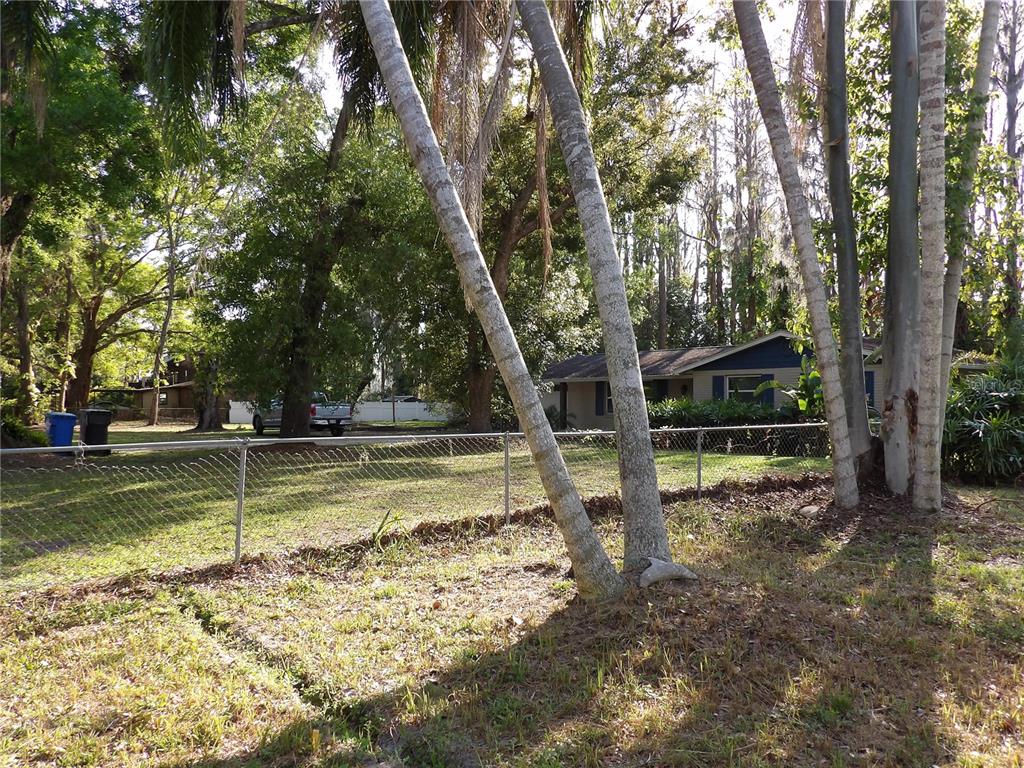 17506 Darby Lane Lutz, FL 33558 - Photo 3 of 15 a view of a wooden house with large trees
