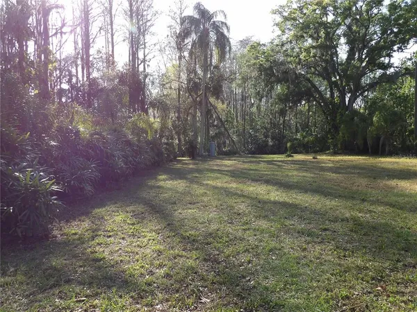a view of outdoor space with trees all around