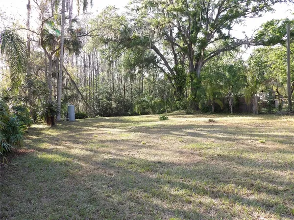 a view of a house with a large tree