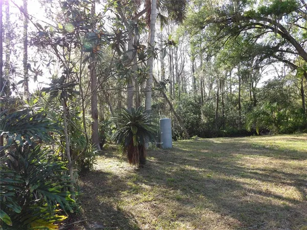 a view of a yard with a tree