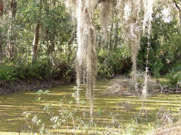 a view of a swimming pool with a yard