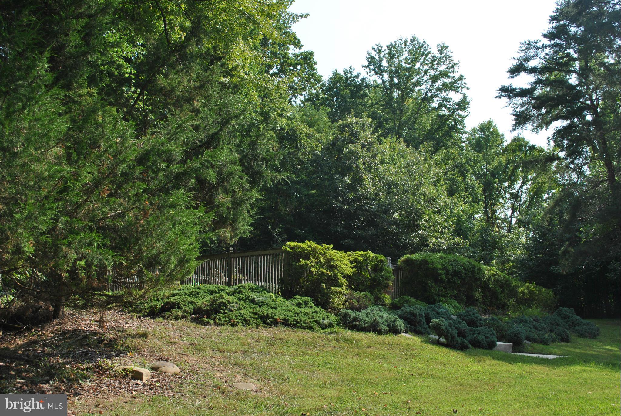 8707 Mitchell Road La Plata, MD 20646 - Photo 3 of 30 View from driveway towards pool.