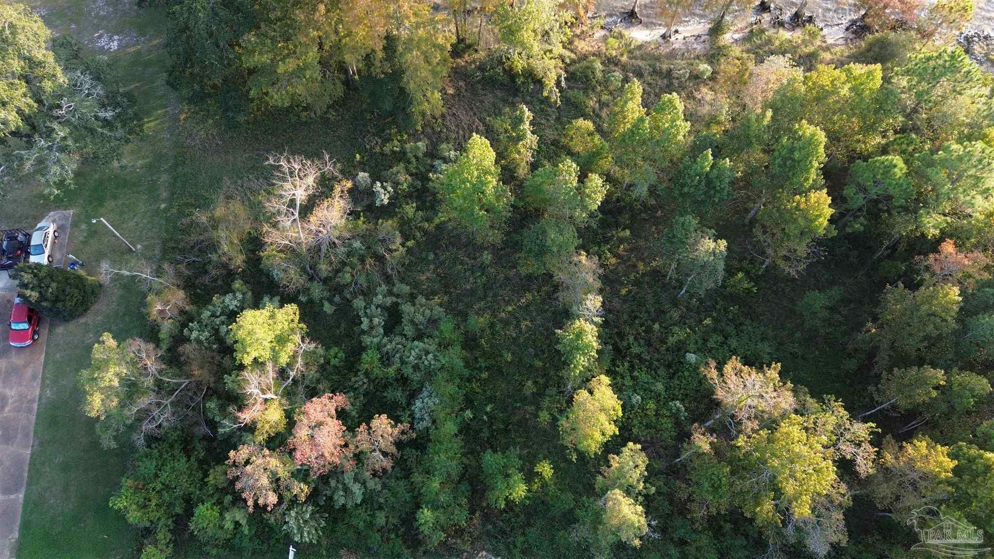 3829 Andrew Jackson Drive Pace, FL 32571 - Photo 6 of 9