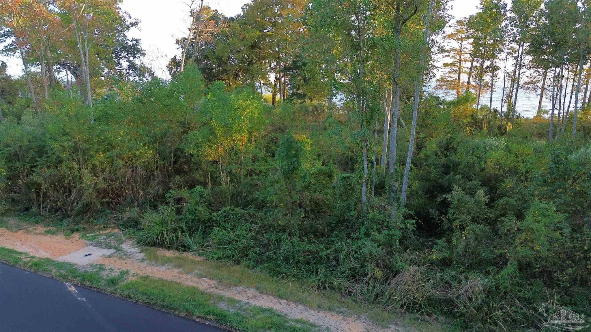 3829 Andrew Jackson Drive Pace, FL 32571 - Photo 9 of 9