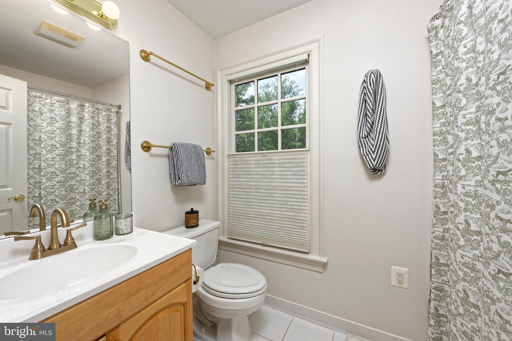 20084 Woodtrail Road Round Hill, VA 20141 - Photo 12 of 31 Another view of full bathroom w/drop down shade