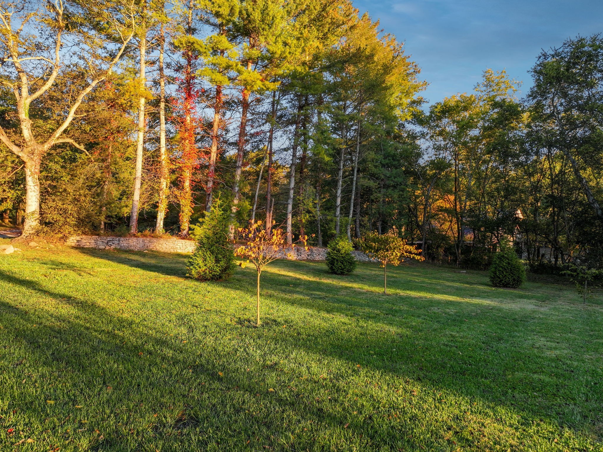 2060 Old Hillsboro Road Franklin, TN 37064 - Photo 72 of 75 a view of a park with lots of trees