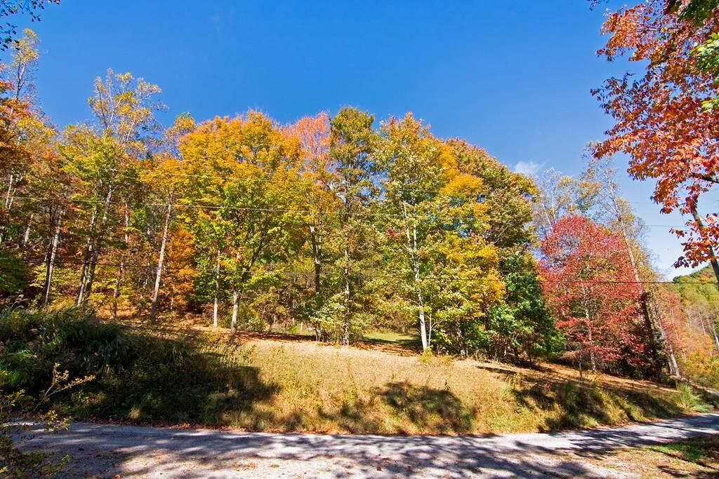 1180 Mill Road Hinton, WV 25951 - Photo 11 of 93 Gallery Image 11