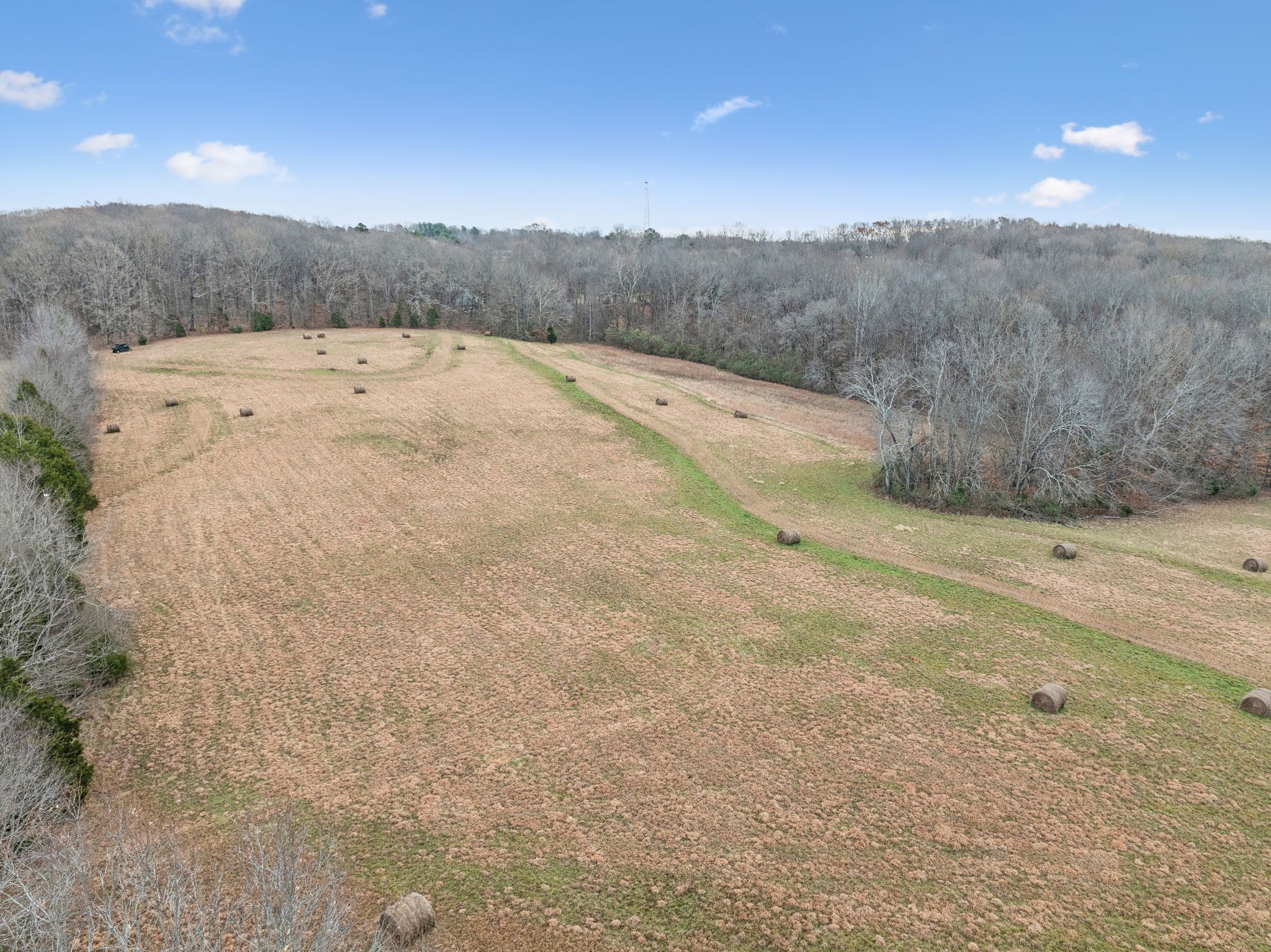 7348 Overby Road Fairview, TN 37062 - Photo 5 of 50