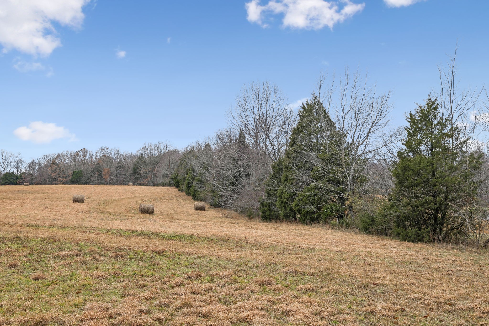 7348 Overby Road Fairview, TN 37062 - Photo 6 of 50