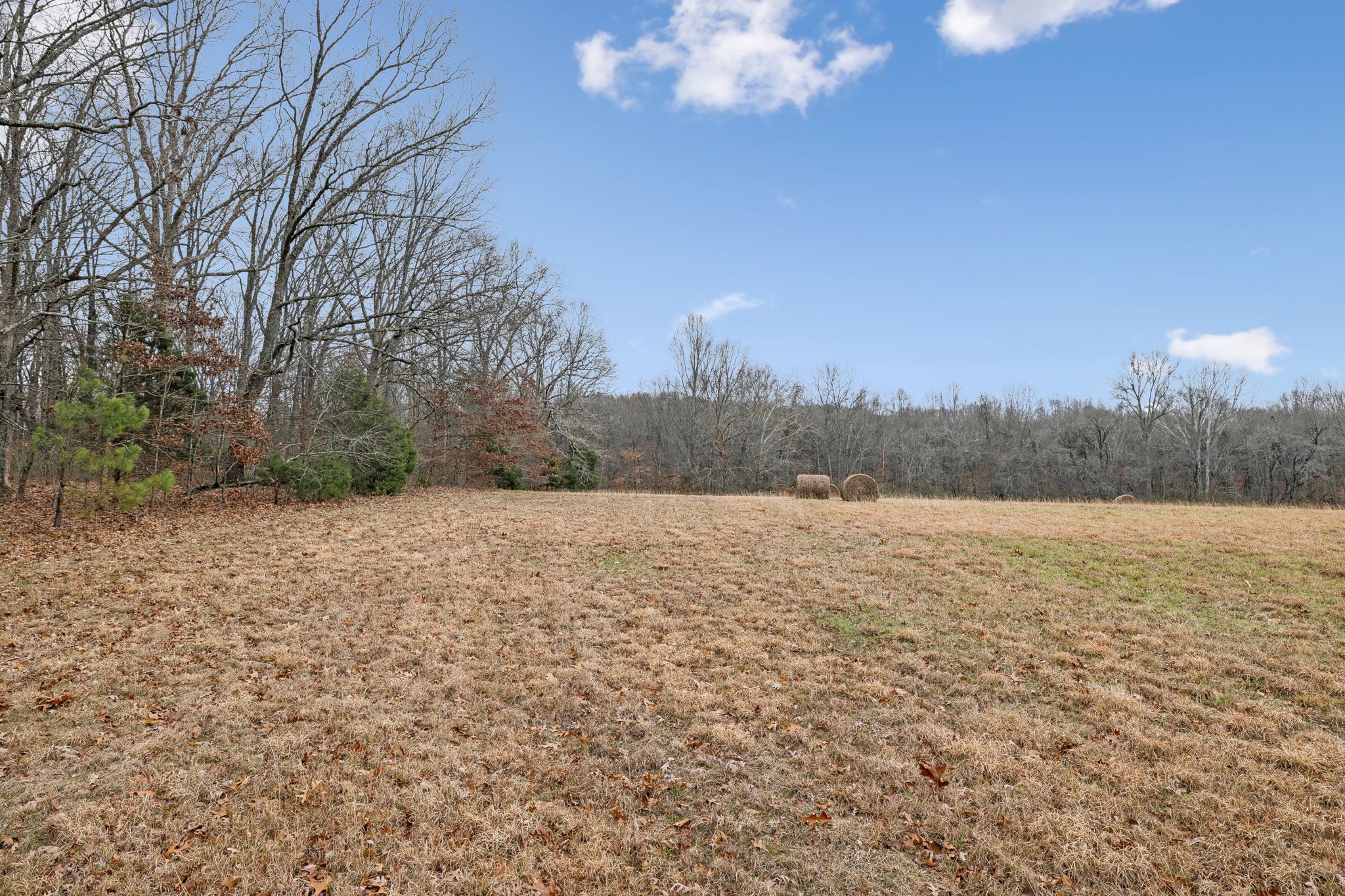 7348 Overby Road Fairview, TN 37062 - Photo 8 of 50