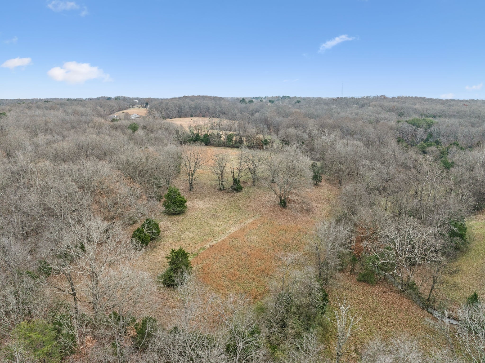 7348 Overby Road Fairview, TN 37062 - Photo 9 of 50