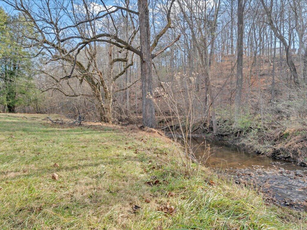 135 Old Furnace Road Rocky Mount, VA 24151 - Photo 53 of 57 53-MIB02691