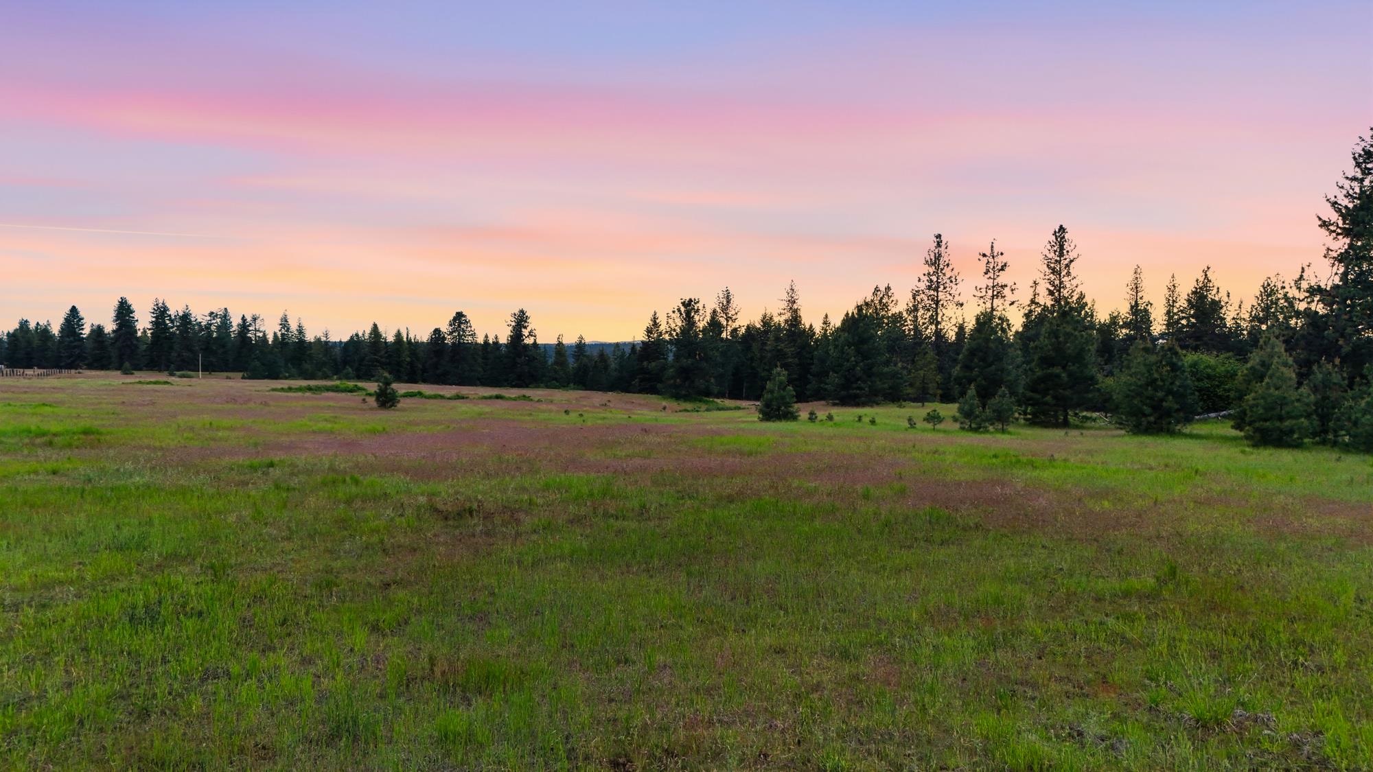 682 Henry Road Elk, WA 99009 - Photo 8 of 21