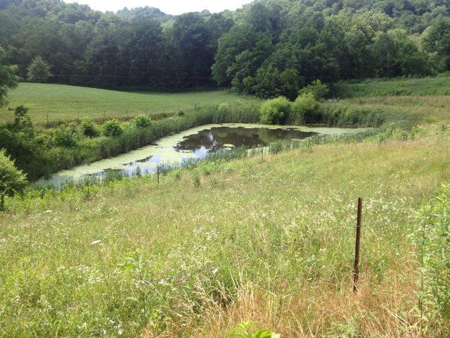 1264 Buffalo Zion Road Beattyville, KY 41311 - Photo 37 of 43 Photo 38