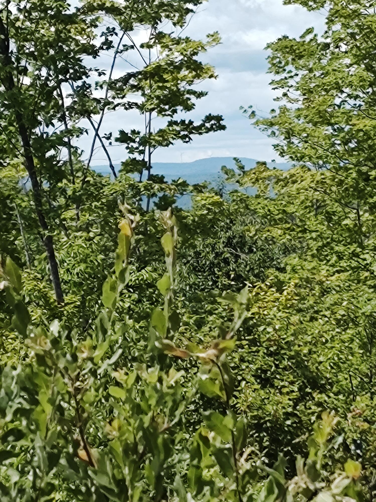 0 Huff Hill Road West Hartland, ME 04943 - Photo 2 of 5 23025Sa1003_1