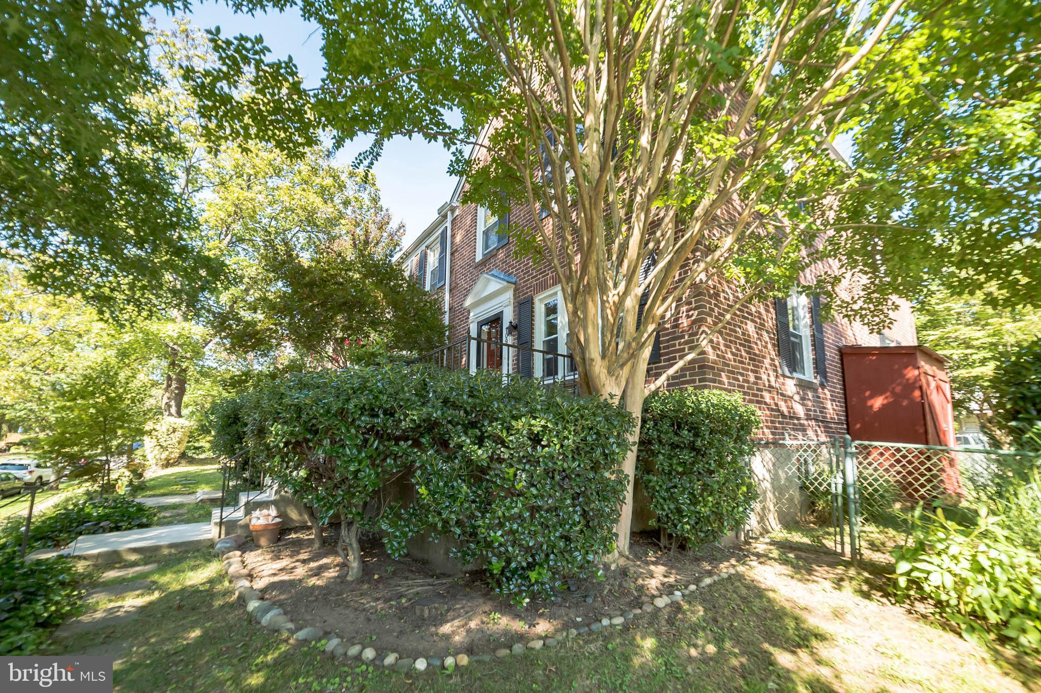 109 Stanmore Road Baltimore, MD 21212 - Photo 23 of 26 Mature Plantings