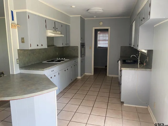 a kitchen with a sink a stove and cabinets