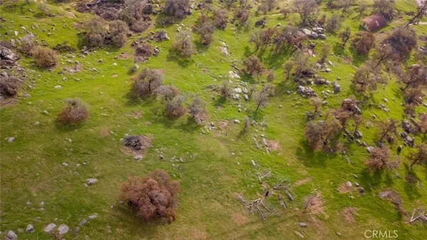 a view of a yard